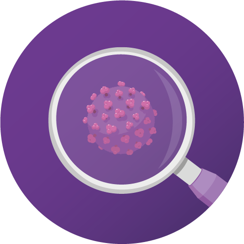 LEAD-icon-learn-about-winter-infections-wbst
